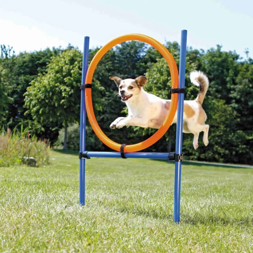 TRIXIE Fun Agility Ring, blau/orange | 115 × ø 3 cm, ø 65 cm