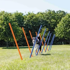 TRIXIE Fun Agility Slalom, Kunststoff, blau/orange, 12 Stück | ø 3 x 115 cm