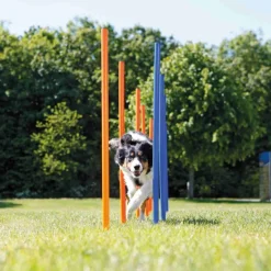 TRIXIE Fun Agility Slalom, Kunststoff, blau/orange, 12 Stück | ø 3 x 115 cm