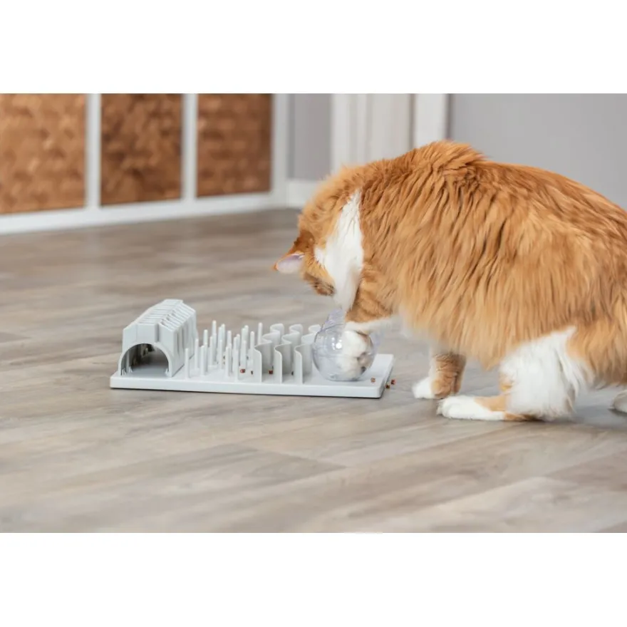 TRIXIE Fun Board XXL | 30 × 40 cm