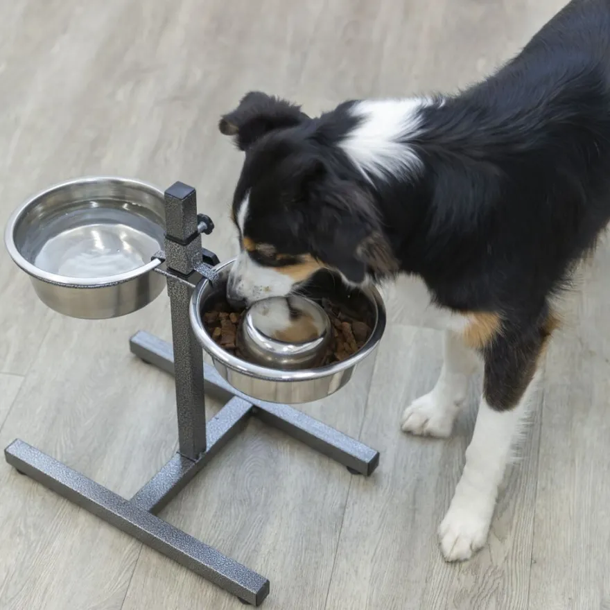TRIXIE Hundebar, Edelstahl/Metall | 2 x 1.8 l/ø 21 cm