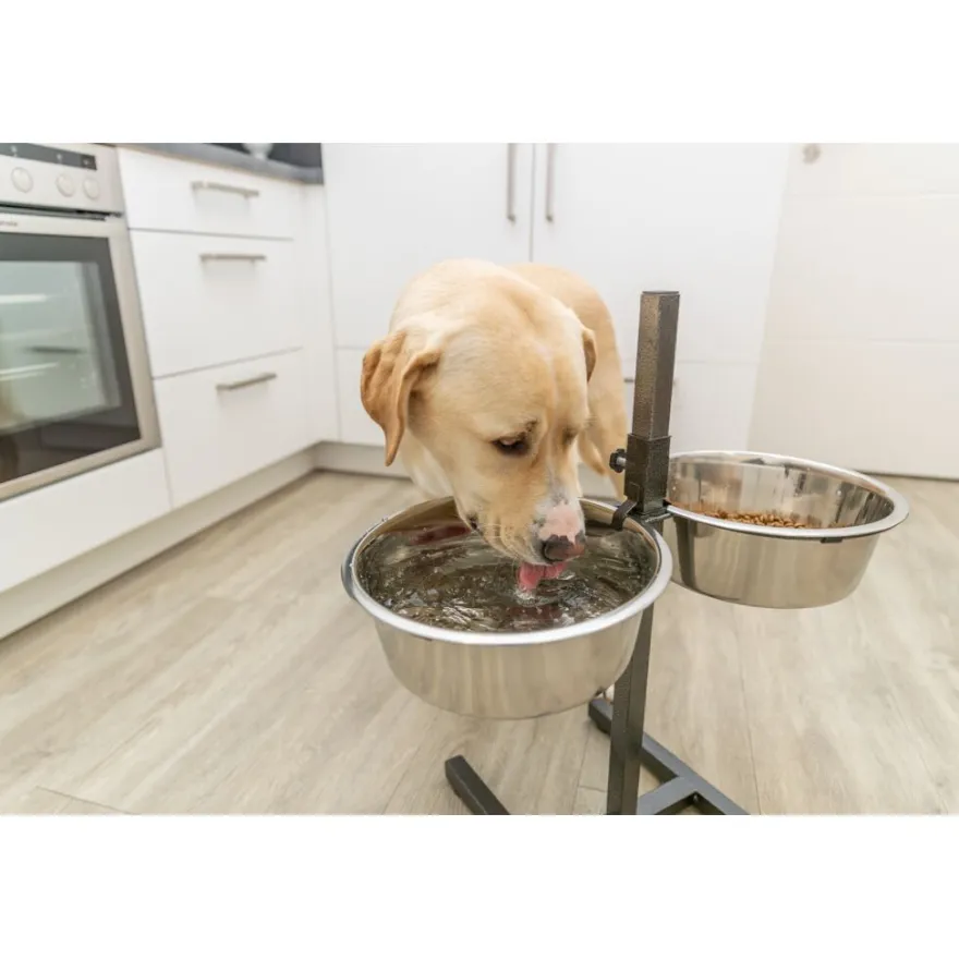 TRIXIE Hundebar, Metall/Edelstahl | 2 × 4,5 l/ø 29 cm