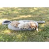 TRIXIE Junior Bett Hund, grau | 50 × 40 cm