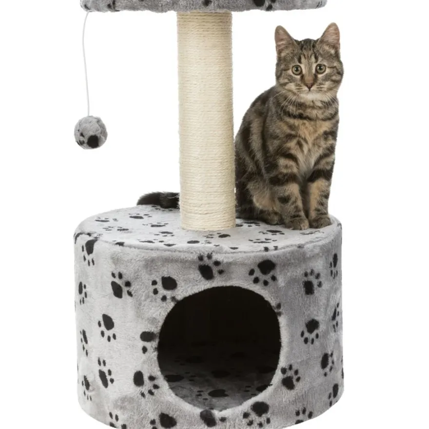 TRIXIE Junior Kratzbaum Toledo, grau | 61 cm
