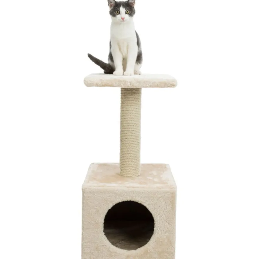 TRIXIE Junior Kratzbaum Zamora, beige | 60 cm