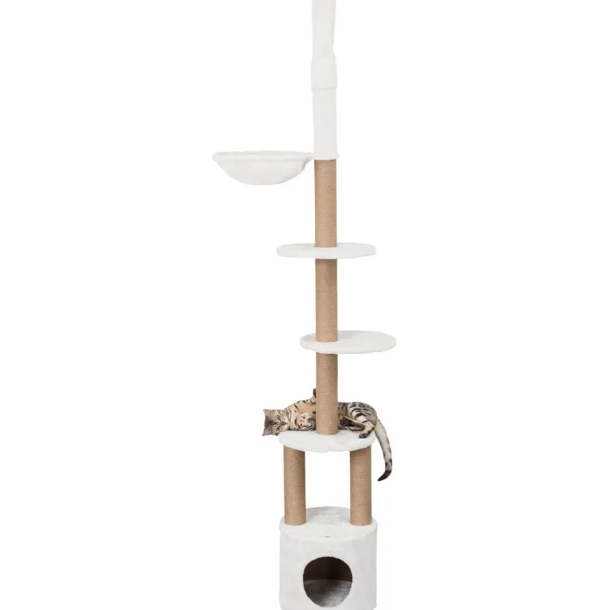 TRIXIE Kratzbaum Aurelio, deckenhoch, weiß | 236–250 cm