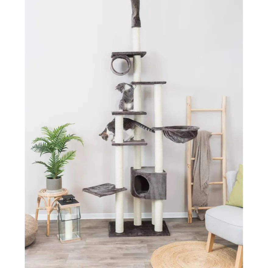 TRIXIE Kratzbaum Madrid, deckenhoch, platingrau | 245–270 cm