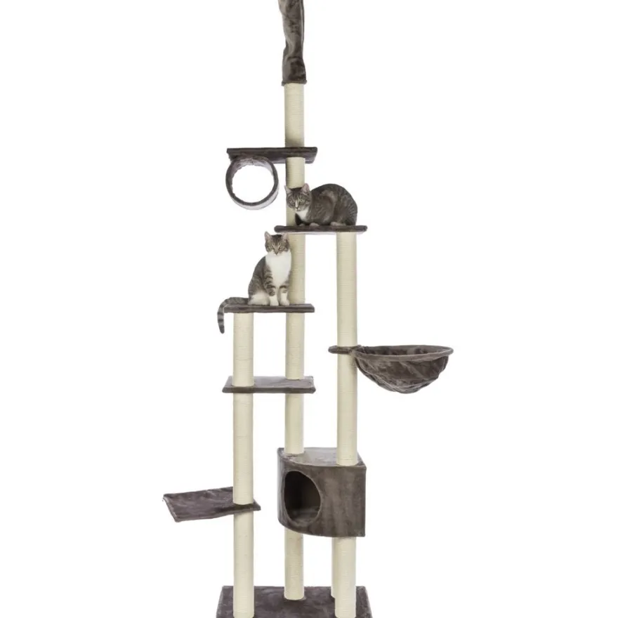 TRIXIE Kratzbaum Madrid, deckenhoch, platingrau | 245–270 cm