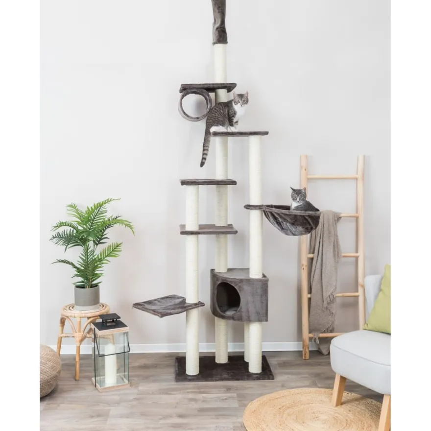 TRIXIE Kratzbaum Madrid, deckenhoch, platingrau | 245–270 cm