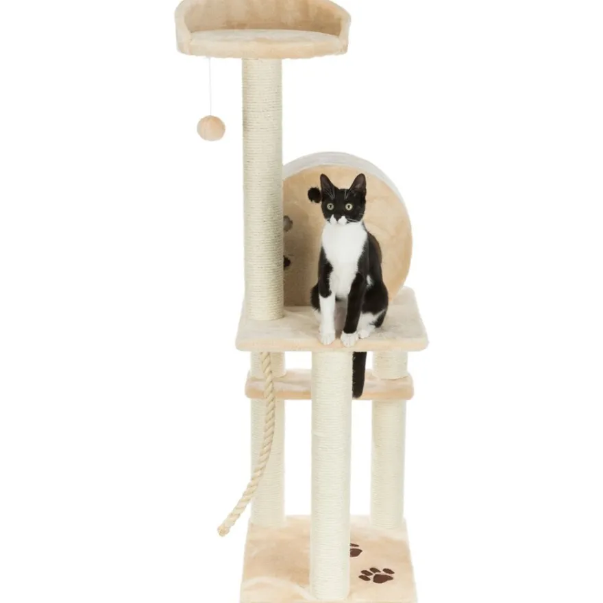 TRIXIE Kratzbaum Salamanca, beige | 138 cm