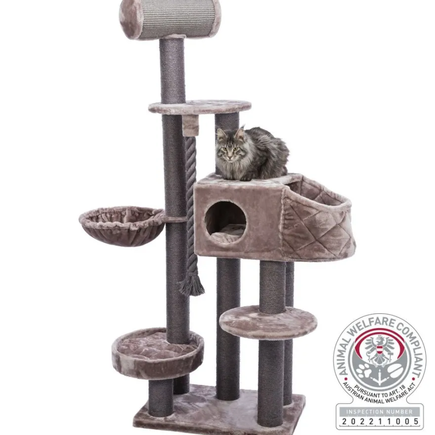 TRIXIE Kratzbaum XXL Andres, cappuccino | 70 x 190 x 48 cm