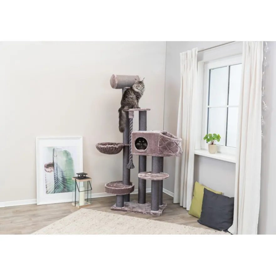 TRIXIE Kratzbaum XXL Andres, cappuccino | 70 x 190 x 48 cm