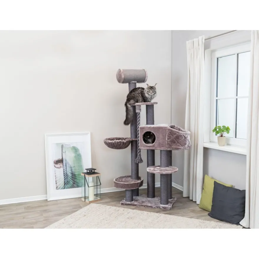 TRIXIE Kratzbaum XXL Andres, cappuccino | 70 x 190 x 48 cm