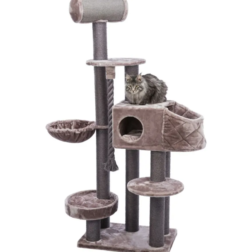 TRIXIE Kratzbaum XXL Andres, cappuccino | 70 x 190 x 48 cm