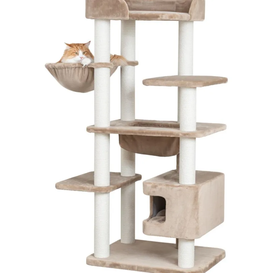 TRIXIE Kratzbaum XXL Brunna, taupe | 165 cm
