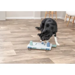 TRIXIE Move2Win Strategiespiel | 34 × 23 cm