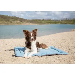 TRIXIE Reisedecke Samoa Classic, eckig, eisblau/grau | 120 x 80 cm