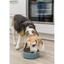 TRIXIE Slow Feeding Keramiknapf, grau/blau | 0,9 l/ø 17 cm