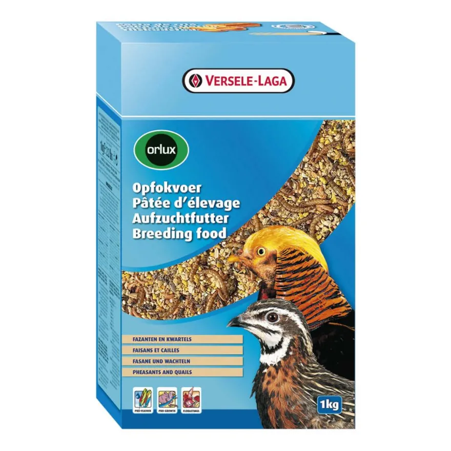 Versele Laga Orlux Eifutter Trocken - Aufzuchtfutter Fasane & Wachteln | 1 kg