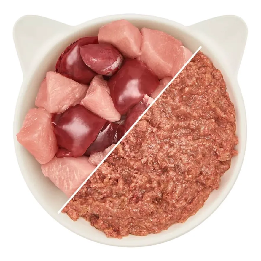 WOW CAT Junior Paté