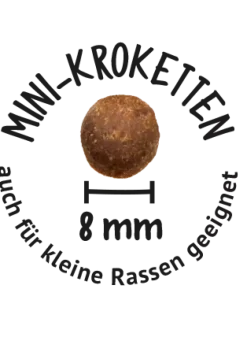 WOW DOG TROCKEN Minis ADULT mit Lachs | 1 kg