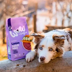 WOW DOG TROCKEN Minis ADULT mit Lamm | 1 kg